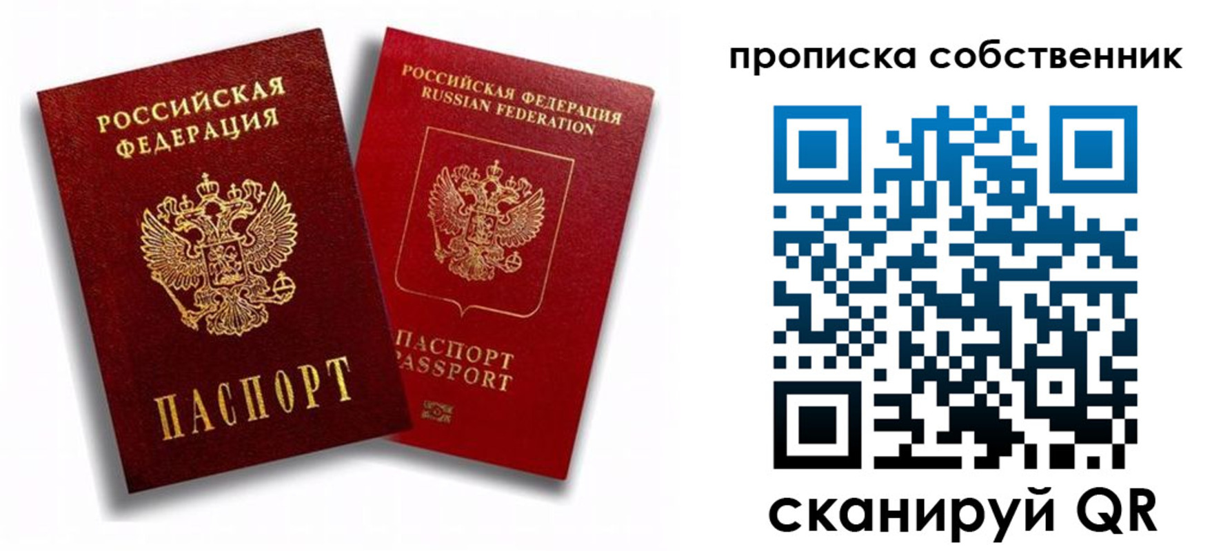 прописка 2025 в Мытищах